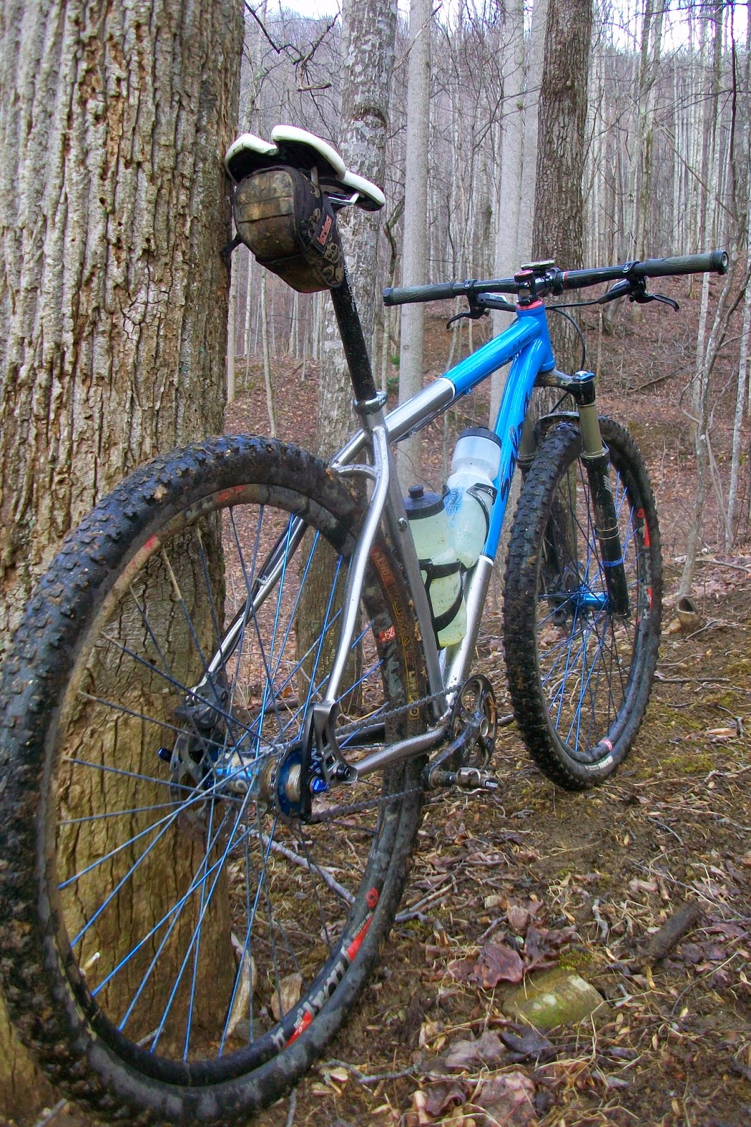 2015 salsa el mariachi ti